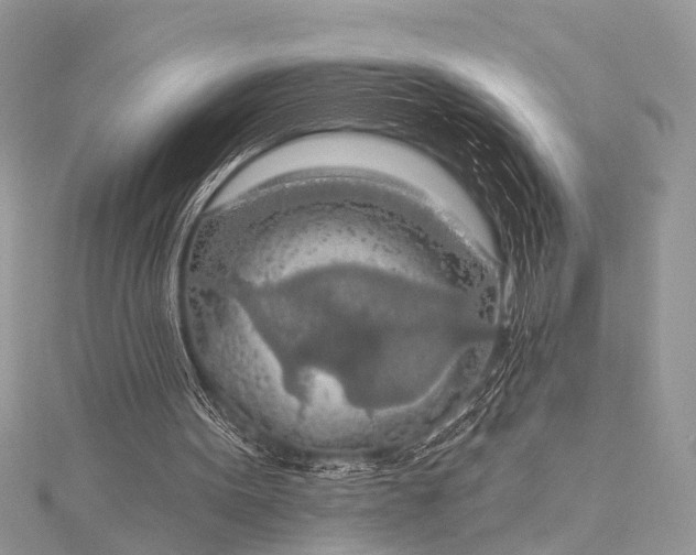 X0000115490099200911201606