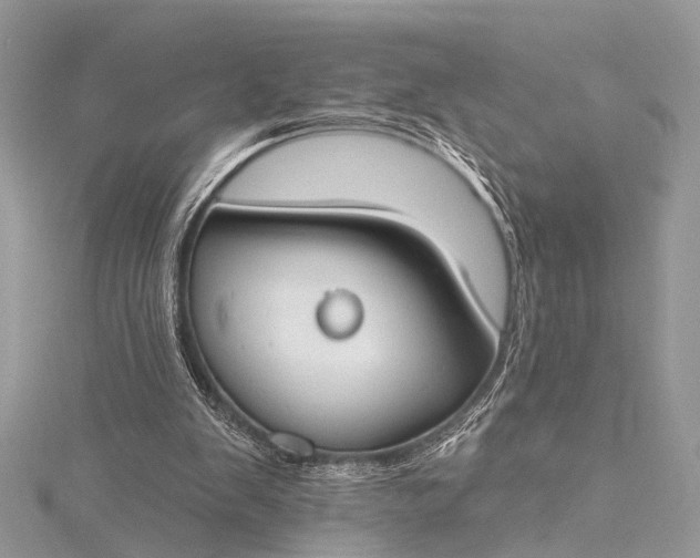 X0000115490103200911201605