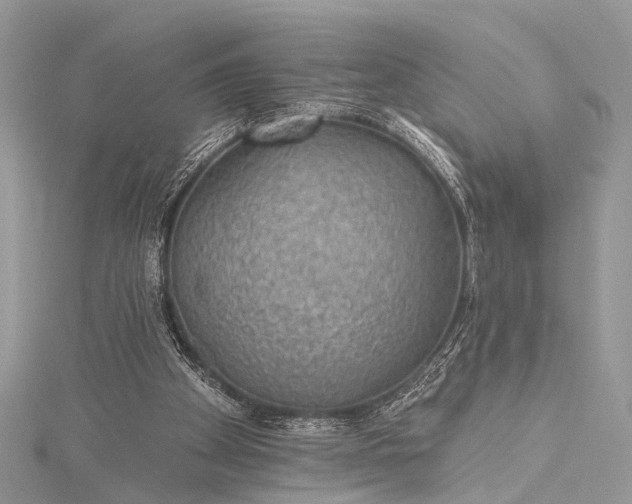X0000115490105200911201605