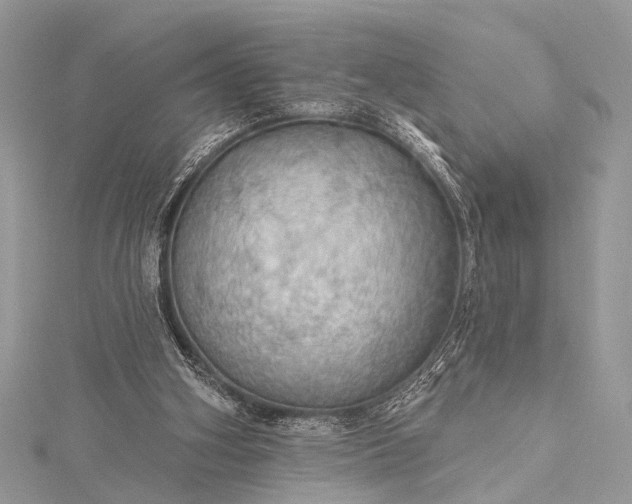X0000115490106200911201605