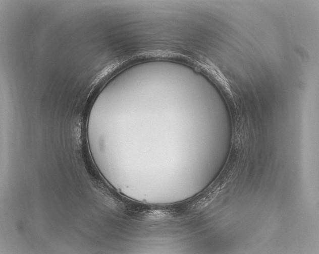 X0000115490111200911201605