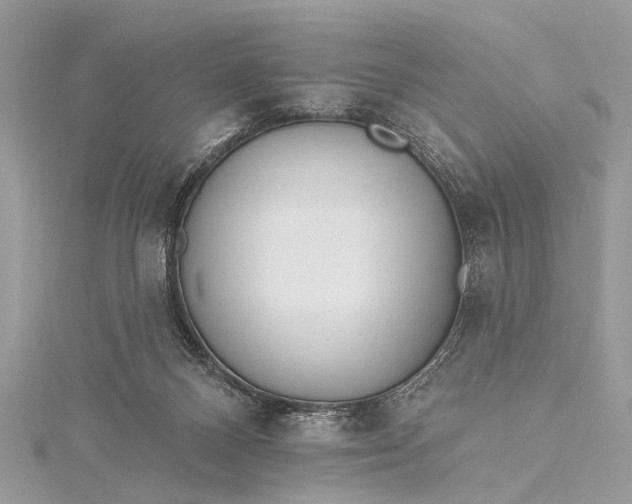 X0000115490120200911201605