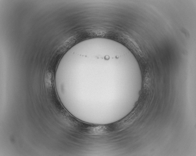 X0000115490122200911201605