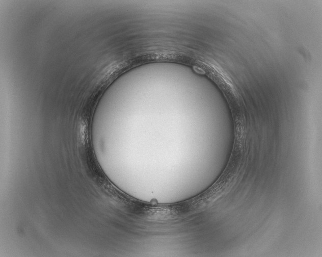 X0000115490123200911201605