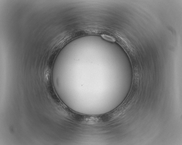X0000115490125200911201605