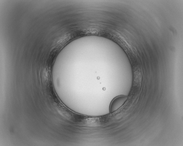 X0000115490126200911201605