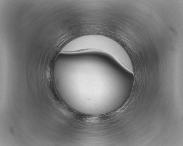 X0000115490132200911201605