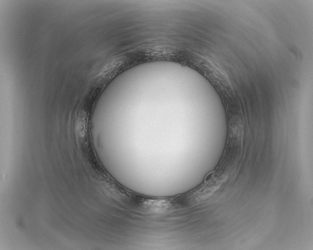 X0000115490133200911201605