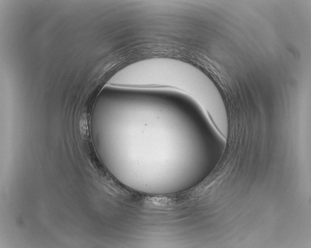 X0000115490137200911201605