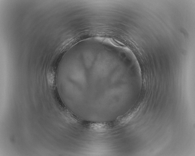 X0000115490139200911201605
