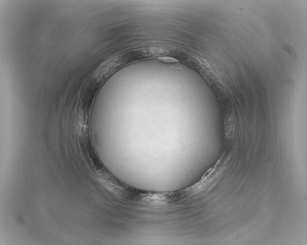 X0000115490140200911201605