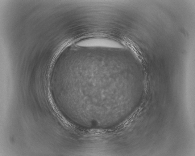 X0000115490145200911201604