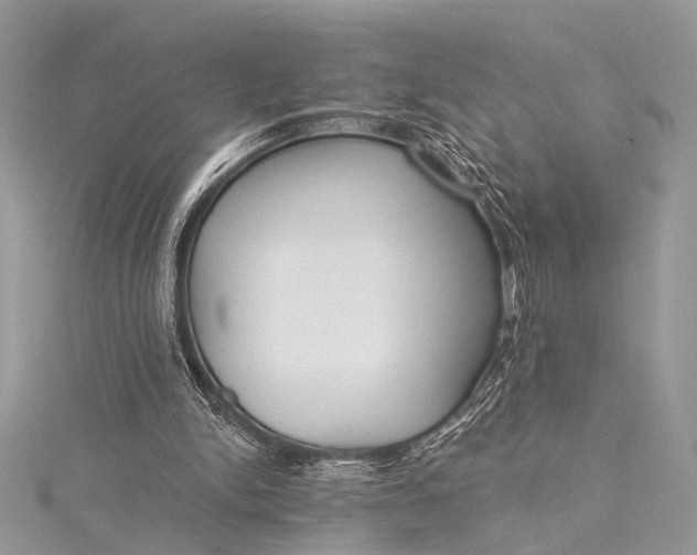 X0000115490150200911201604