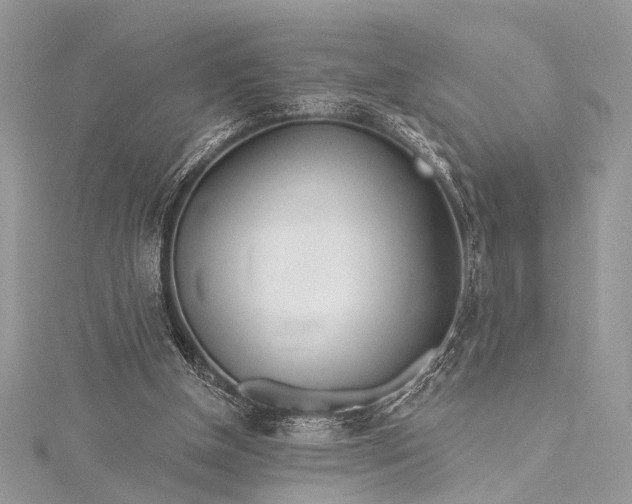 X0000115490154200911201604