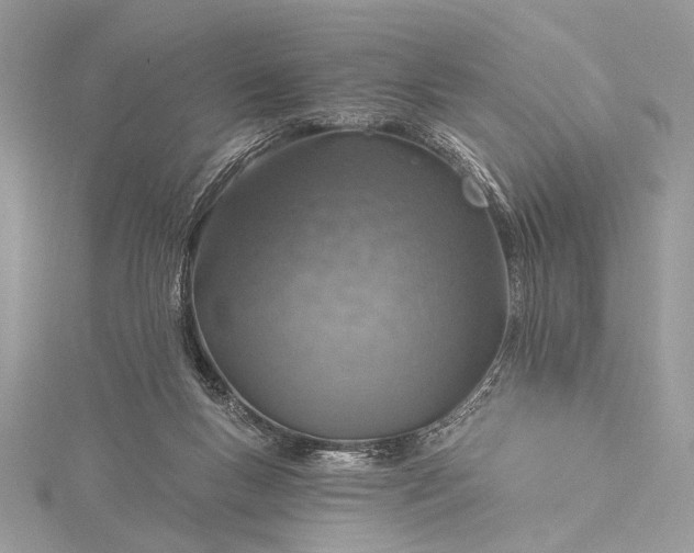 X0000115490167200911201605