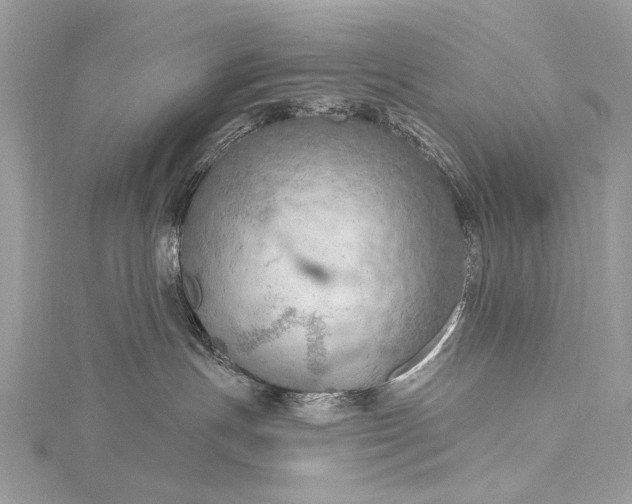 X0000115490191200911201605