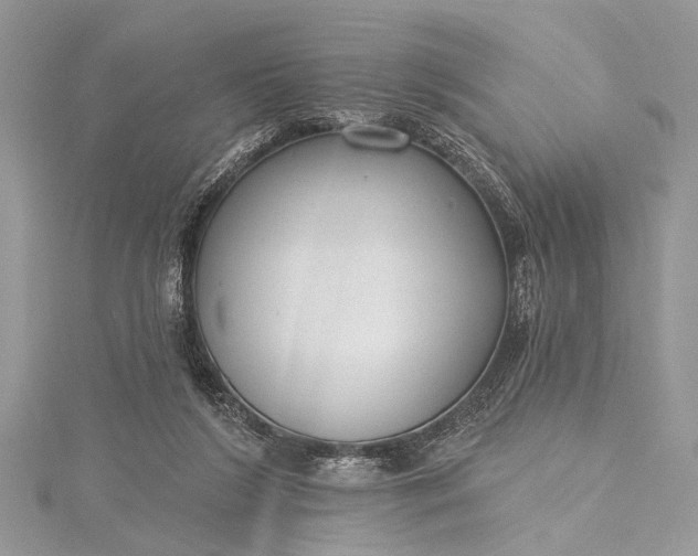 X0000115490212200911201604