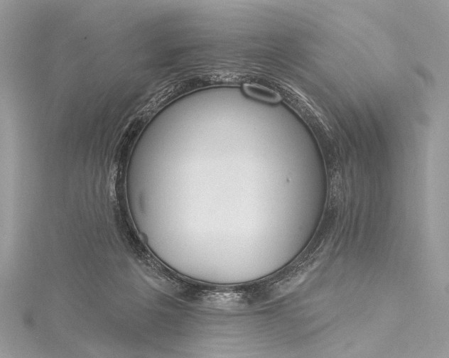 X0000115490217200911201604
