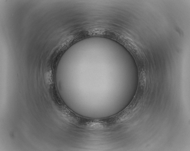 X0000115490224200911201604