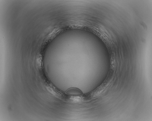X0000115490231200911201604