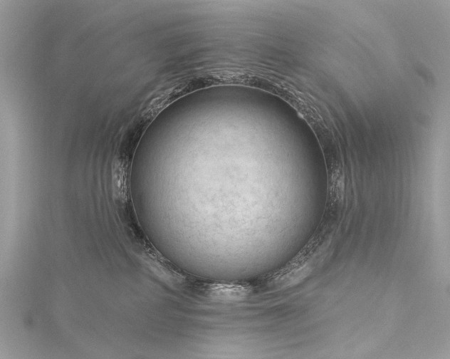 X0000115490234200911201604