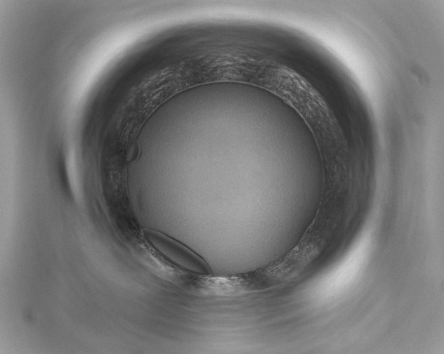 X0000115490239200911201604
