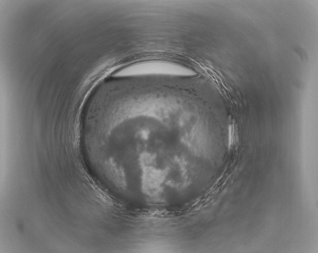 X0000115490243200911201603
