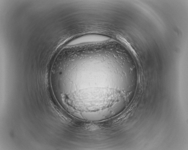 X0000115490249200911201603