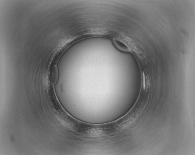 X0000115490252200911201603