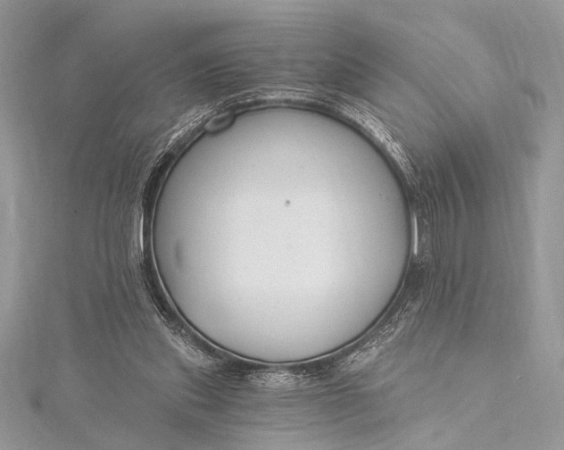 X0000115490253200911201603