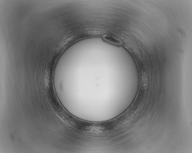 X0000115490255200911201603