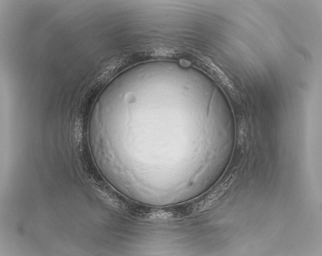 X0000115490257200911201603