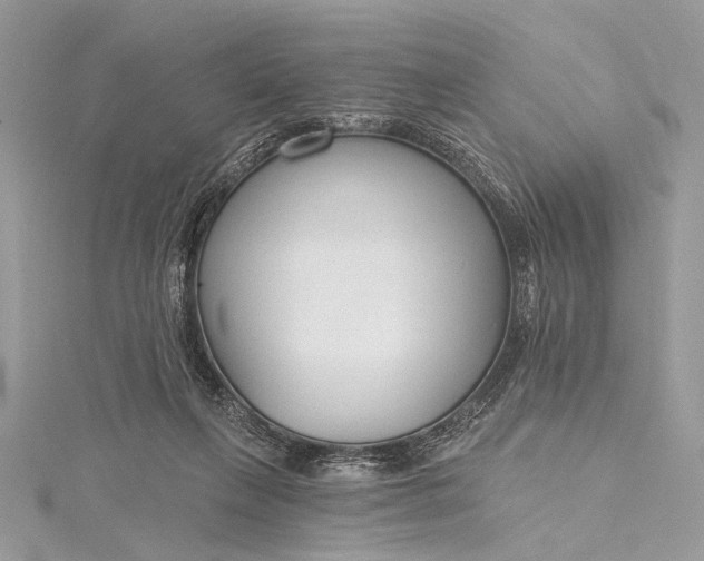 X0000115490263200911201603