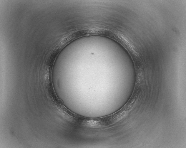 X0000115490265200911201603