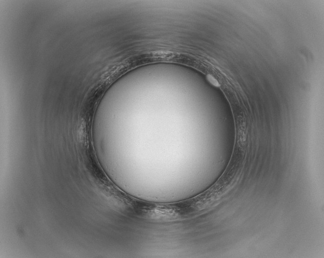 X0000115490270200911201603