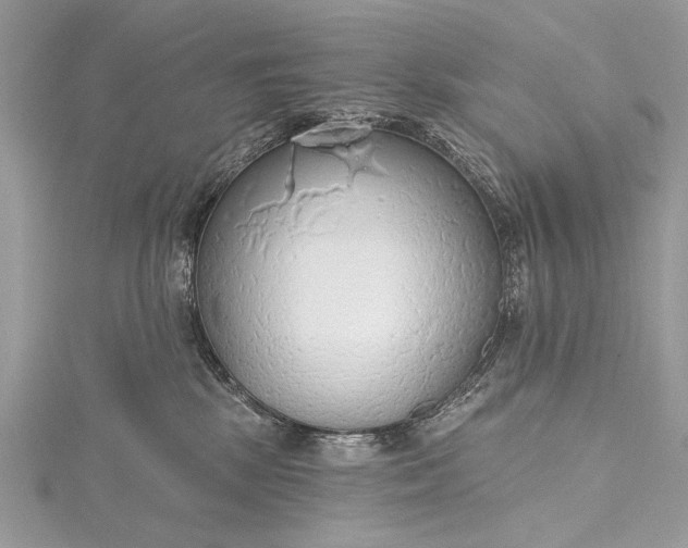 X0000115490281200911201603