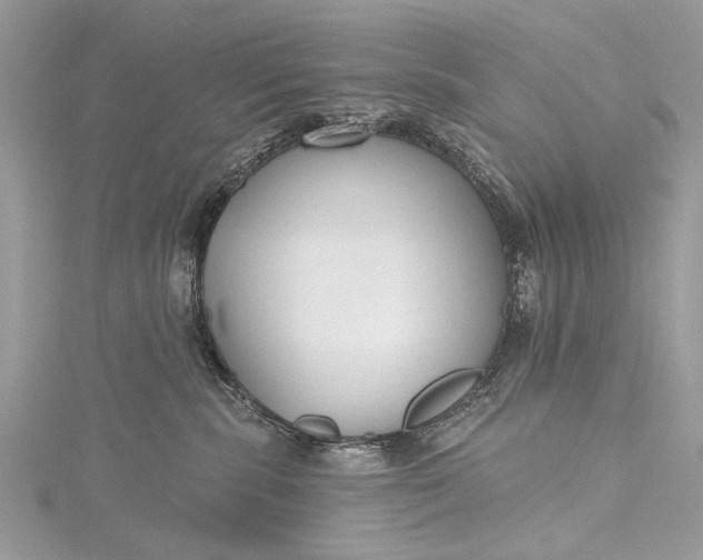 X0000115490283200911201603