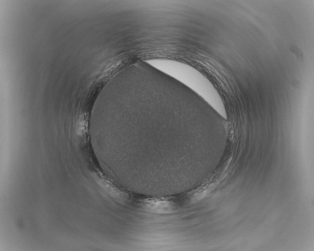 X0000115490284200911201603