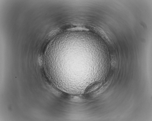 X0000115490285200911201603