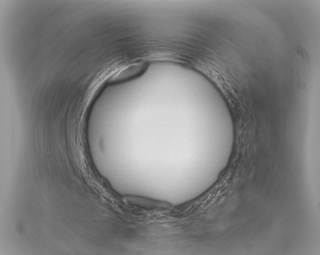X0000115490289200911201603