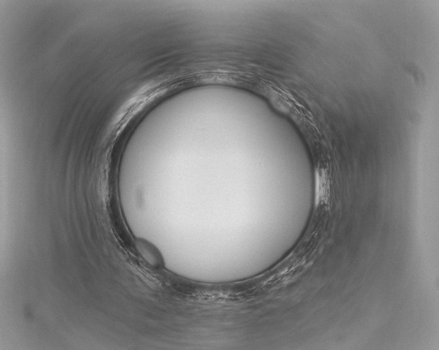 X0000115490291200911201603