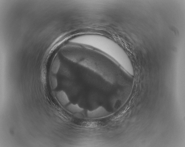 X0000115490295200911201603