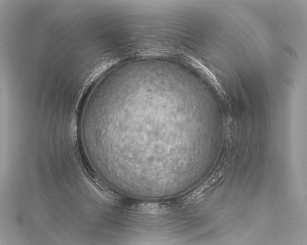 X0000115490298200911201603
