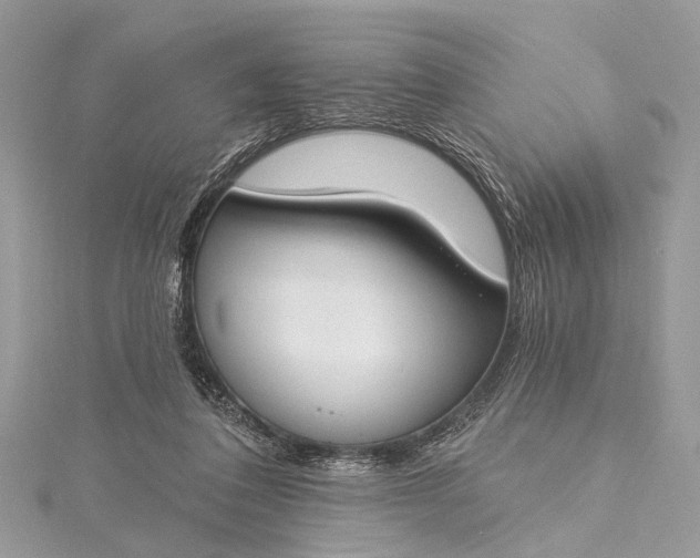 X0000115490308200911201603