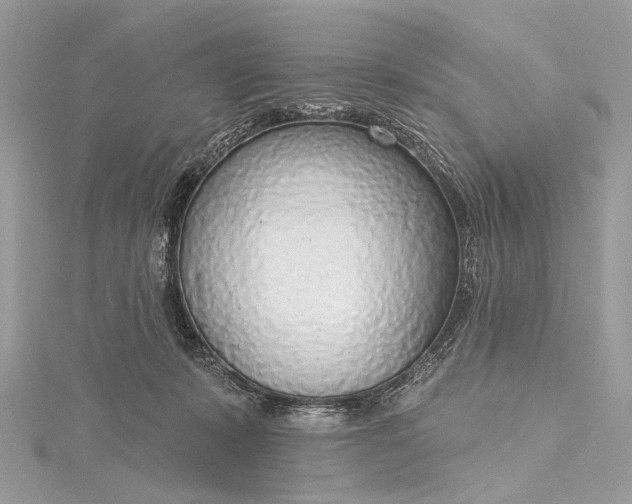 X0000115490319200911201602