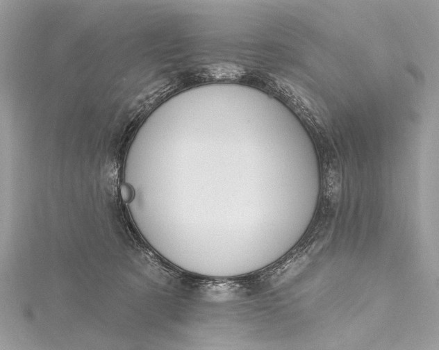X0000115490321200911201602
