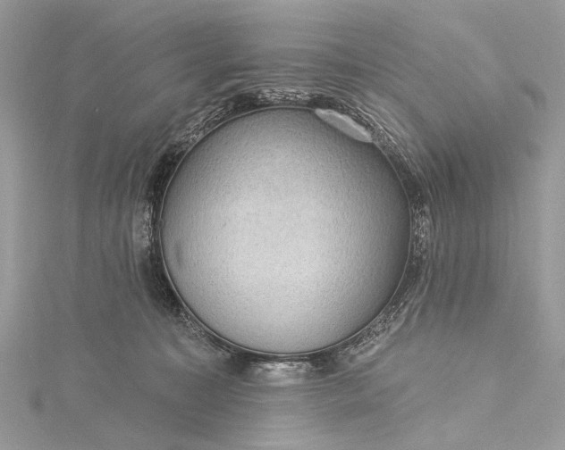 X0000115490323200911201602