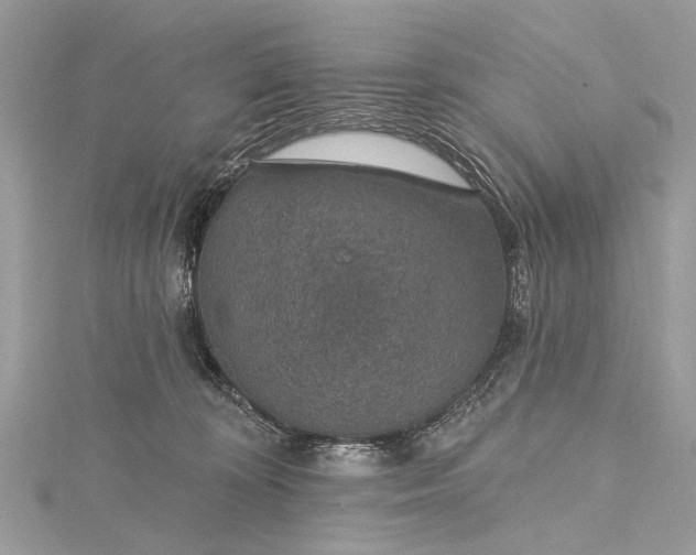 X0000115490324200911201602