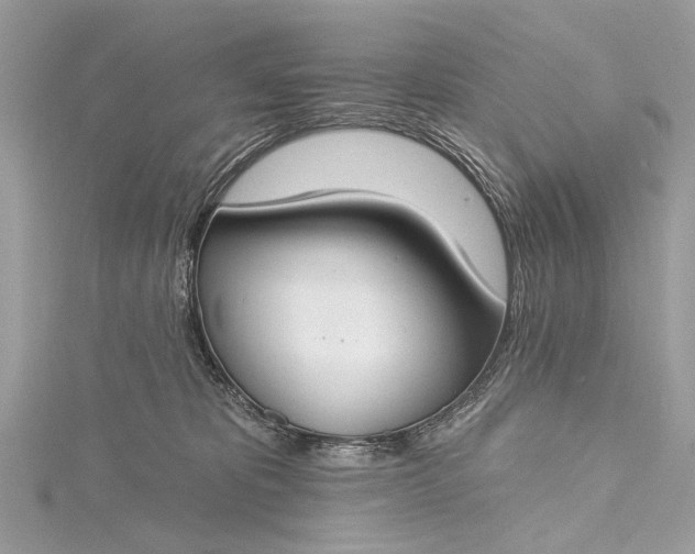 X0000115490325200911201602