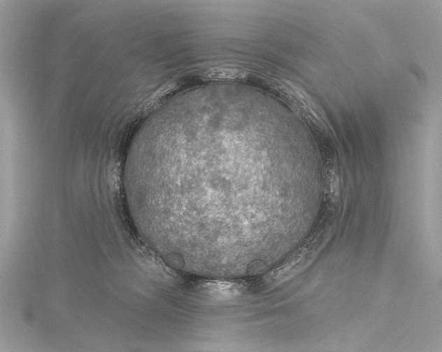 X0000115490326200911201602